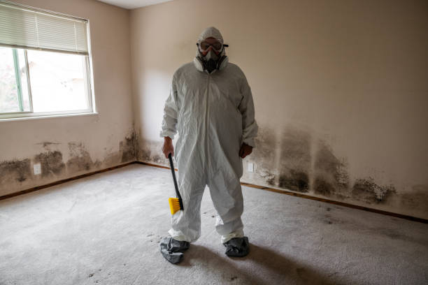 Best Professional Mold Removal  in Travis Ranch, TX